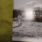 平野啓一郎さんは私の好きな作家の一人です。その平野さんの近著「富士山」を読みました。短編5編を集めたものです。表紙の裏に
「些細なことで私たちの運命は変わってしまう。あり得たかもしれない幾つもの人生の中で何故今この人生なのか？」
という文章にふれ、思わず手に取ってしまいました。是非あなたにも読んで頂きたいです。

#平野啓一郎 #好きな本 #鍼灸